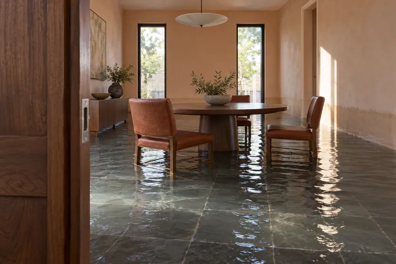 Water Extraction in Cleburne — standing water around dining furniture